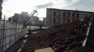 14610897 356093138064190 7857020286607636334 n