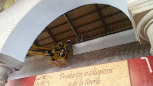 14690950 356092901397547 310441393479325437 n