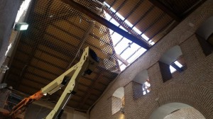 14708176 356093191397518 2252873312119072179 n