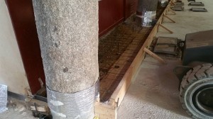 14731332 356092964730874 1020540170661117824 n