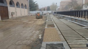 15219390 373714326302071 5870462142850408423 n