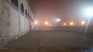 15823615 389368221403348 6736225518813363967 n