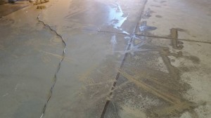 16105703 398225663850937 1150073923489558390 n