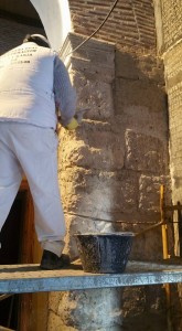 16114402 398225810517589 1996089956372908793 n