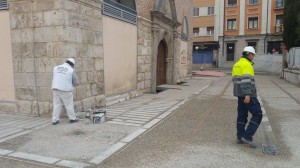 16266123 404694916537345 1225109266089536965 n