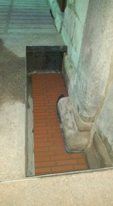 16602972 410149015991935 1224991078774496267 n